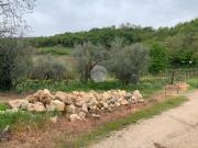 Rustico in Vendita a Colognola ai Colli San Vittore