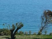 Rustico in vendita a Crotone