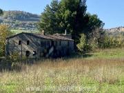 Rustico in vendita a Ficulle