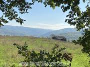 Rustico in vendita a Ficulle