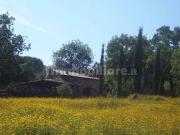 RUSTICO in VENDITA a GAVORRANO CALDANA di 3 vani