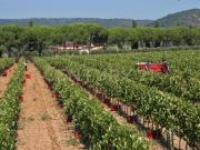 Rustico in vendita a Grosseto