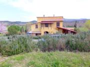 Rustico in vendita a Guardistallo