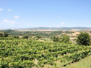 Rustico in vendita a Manciano