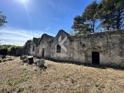 Rustico in vendita a Martina Franca