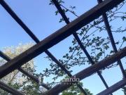 Rustico in vendita a Massarosa, Pieve a Elici