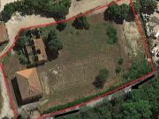 Rustico in vendita a Migliarino Vecchiano 800 mq Rif:...