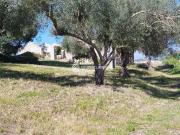 Rustico in vendita a Modica