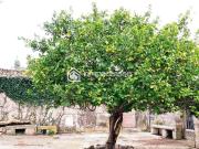 Rustico in vendita a Modica