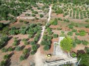 Rustico in vendita a Monopoli