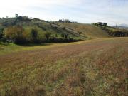 Rustico in vendita a Monsampolo del Tronto, Monsampolo