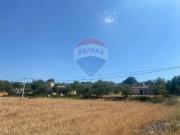 Rustico in vendita a Monterosso Almo