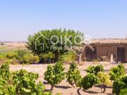 Rustico in vendita a Noto