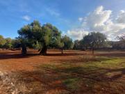 Rustico in vendita a Ostuni
