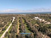 Rustico in vendita a Ostuni