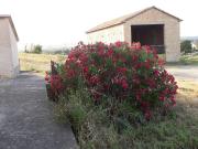 Rustico in vendita a Paglieta