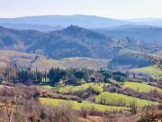 Rustico in vendita a Palaia 900 mq Rif: 1181409