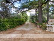Villa singola in vendita a Palombara Sabina viale Rieti