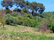 Rustico in vendita a Pesaro