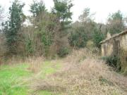 Rustico in vendita a Pesaro