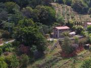 Rustico in vendita a Pietrasanta, Vallecchia