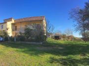 RUSTICO in VENDITA a PITIGLIANO di 7 vani