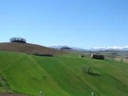 Rustico in vendita a Ripatransone