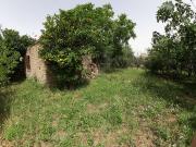 Rustico in vendita a Roma