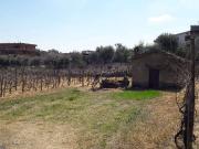 Rustico in vendita a Roma