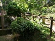 Rustico in vendita a San Giuliano Terme 800 mq Rif: 683310