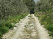 Rustico in vendita a San Giuliano Terme, Agnano