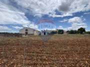 Rustico in vendita a Santeramo In Colle