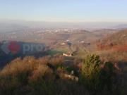 Rustico in vendita a Sarego