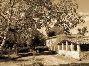 Rustico in vendita a Sovicille