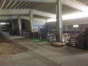 Rustico in vendita a Travo