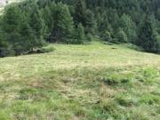 Rustico in vendita a Varzo