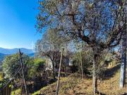 Rustico in vendita a Vezzano Ligure via Masignano, 17