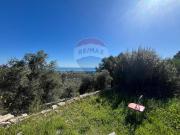 Rustico in vendita a Vieste