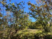 Rustico in vendita in loc ormei, Ponzone