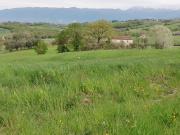 Rustico in vendita in via spinosa, Alvignano