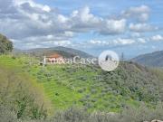 Rustico ristrutturato, Pescaglia san martino in freddana