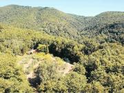 La casa nel bosco immersa nella natura in vendita a...