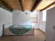 Rustico mit 2 Wohnungen. 2 und 3 Zimmer mit Terrassen...