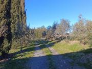 Rustico ristrutturato a Piancastagnaio