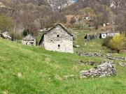 Rustico zum Ausbauen mit Wiese an sehr schöner...