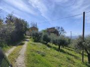 Rustico/Casale in vendita a Acquaviva Picena, Centrale