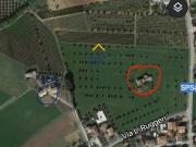 Rustico/Casale in vendita a Corropoli