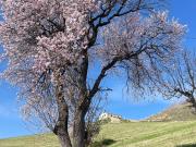 Rustico/Casale in vendita a Ripatransone