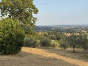 Rustico/Casale in Vendita a Thiene