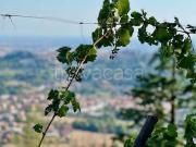 Rustico/casale/corte in vendita a Bergamo via Filone...